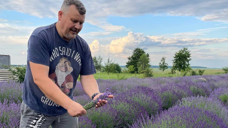 «Хмелівський Прованс»: подружжя з Волині вирощує лаванду і запрошує на фотосесії