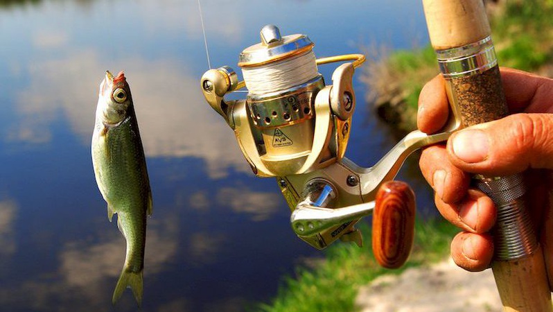 На водоймах Волині дозволили вилов риби