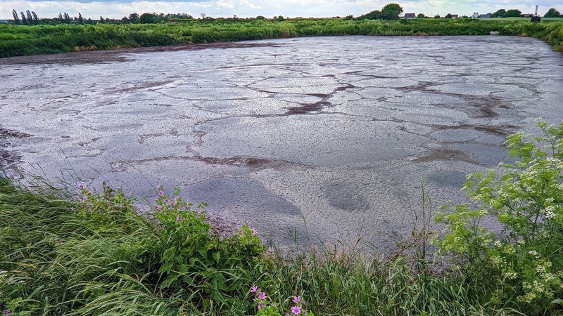 У Луцьку проведуть чистку очисних споруд від мулу