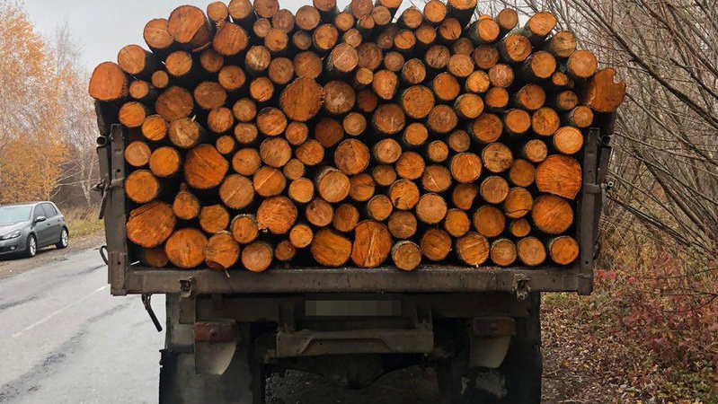 На Волині чоловік намагався незаконно перевезти колоди вільхи