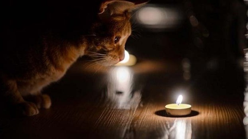 У Волиньобленерго повідомили про відключення світла на 28 червня