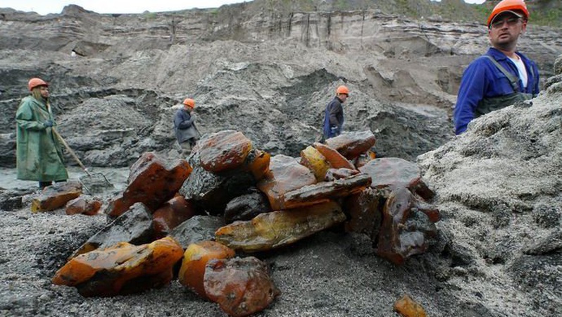 На Волині видобули рекордний шматок бурштину
