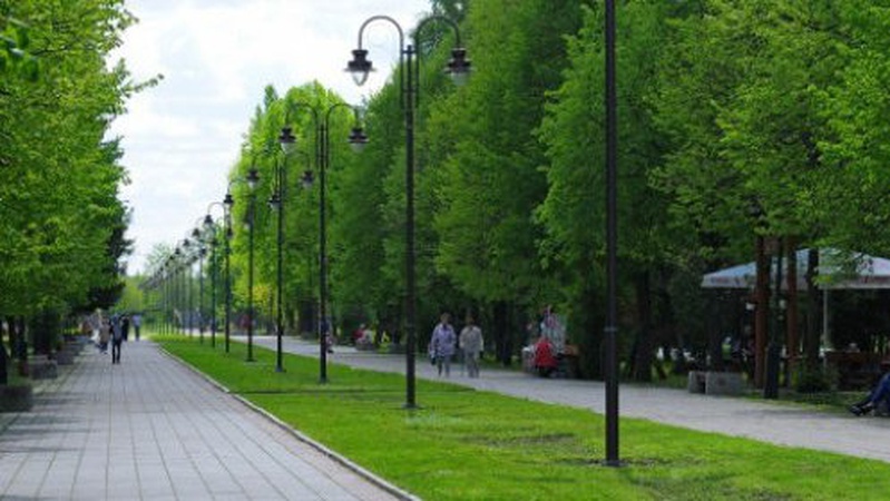 Поліщук звільнив директора підприємства «Парки та сквери»