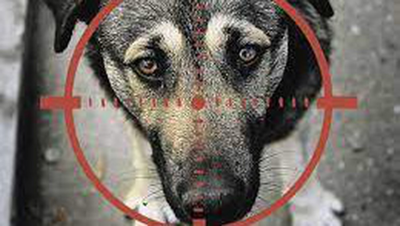 На Волині працівник психлікарні застрелив стаффордширського тер’єра