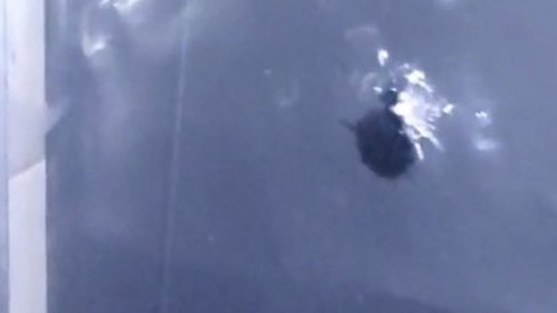 Розповіли подробиці обстрілу магазину у Луцьку