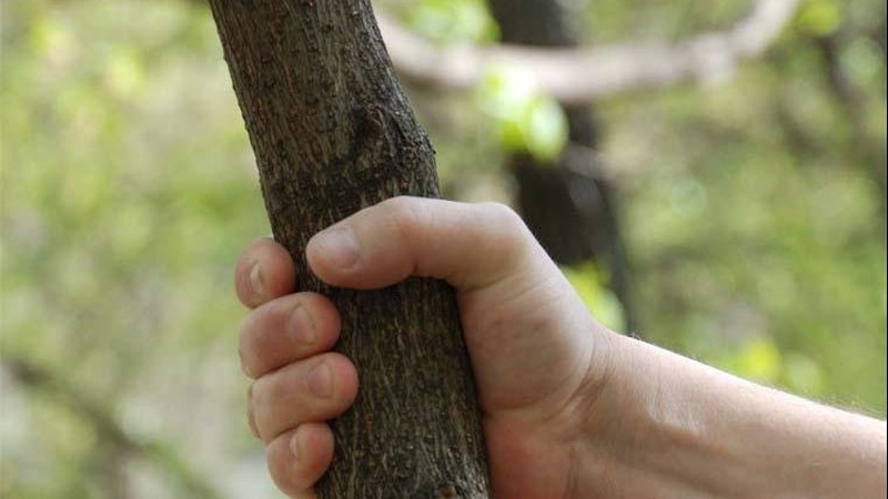 У Луцьку рецидивіст відлупцював чоловіка палицею