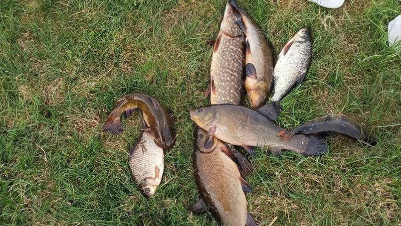 На Волині небайдужий чоловік поскаржився на рибалку: справу про порушення передали до суду