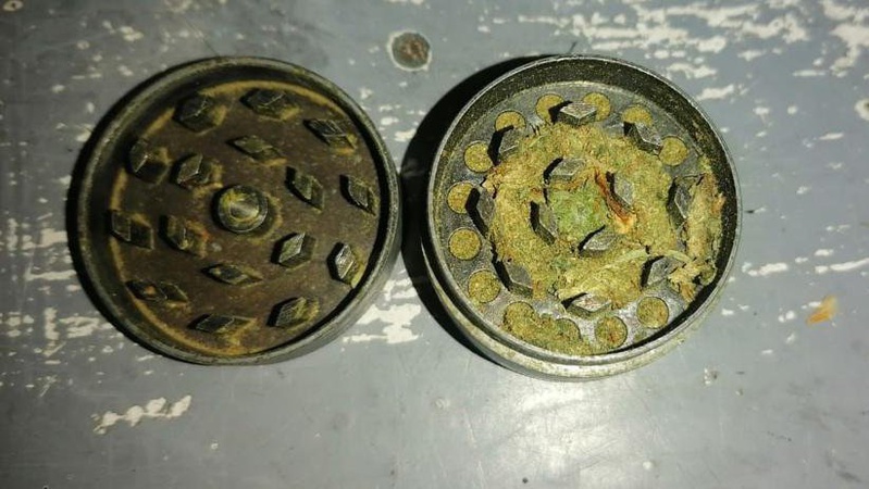 На «Ягодині» службовий собака винюхав наркотики у пасажира, що їхав до Польщі. ВІДЕО