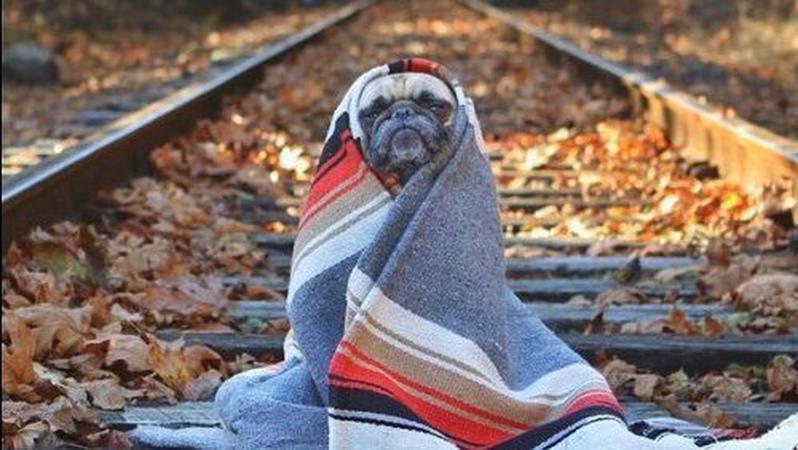 В Україну знову йдуть заморозки: синоптики прогнозують похолодання