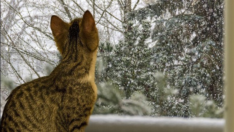 На Волині прогнозують похолодання та мокрий сніг
