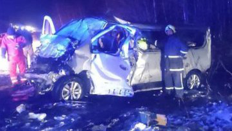 У ДТП на Житомирщині загинуло двоє волинян