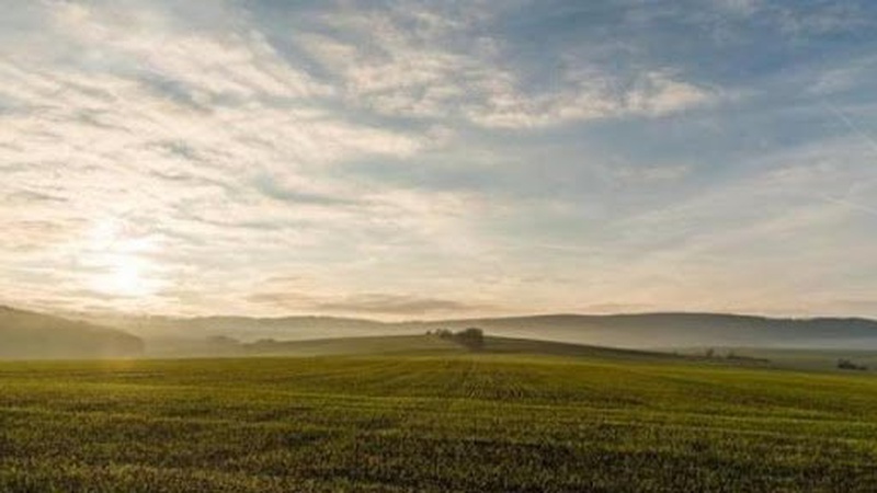 На Волині орендар, який розорав пасовище, поверне земельну ділянку громаді