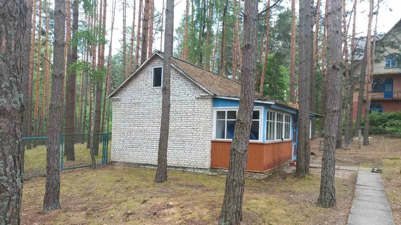 Сільрада на Волині віддає в оренду базу відпочинку за одну копійку