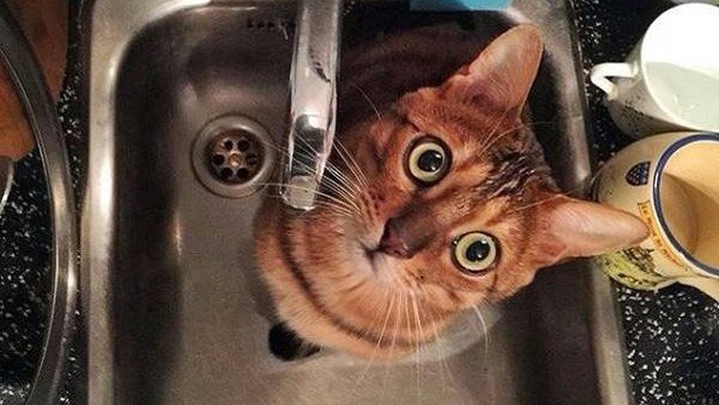 На вулиці Нововолинська вимкнуть воду