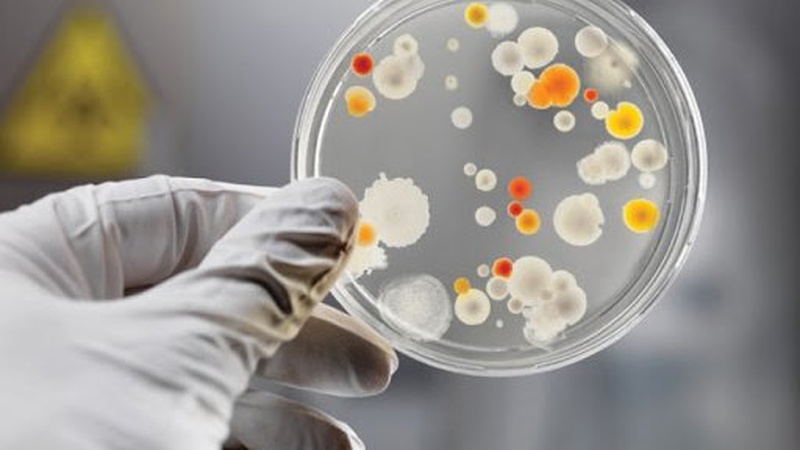 Опублікували відповідь на найпоширеніше питання про імуногенність вакцин