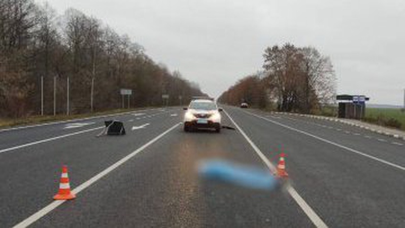 На Волині Ford на смерть збив пішохода. ФОТО