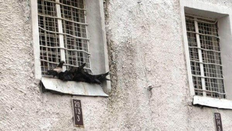 Лучанина, який зарубав дружину і доньку, вбив у СІЗО 19-річний арештант