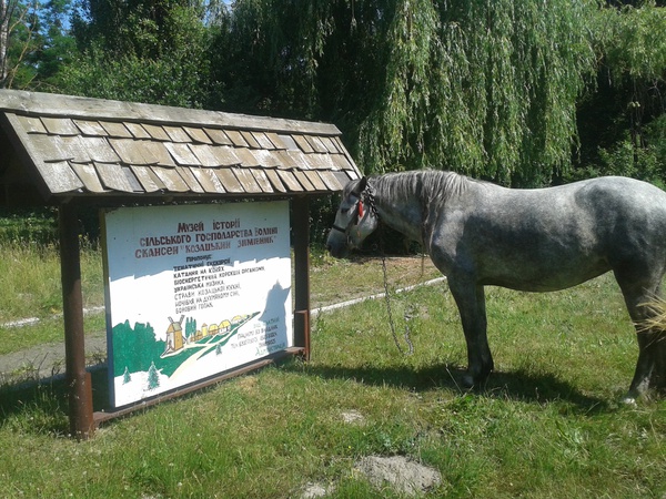 Директор Музею-скансену вимагає від Недопада 1 мільйон 135 тисяч гривень