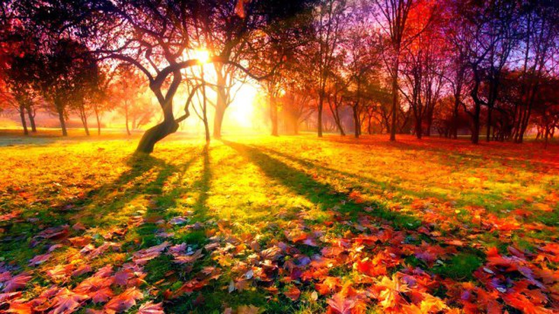 За вересень у Луцьку зафіксували чотири температурні рекорди