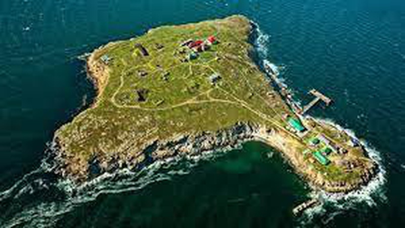 Відступ РФ зі Зміїного не був «жестом доброї волі» — Пентагон