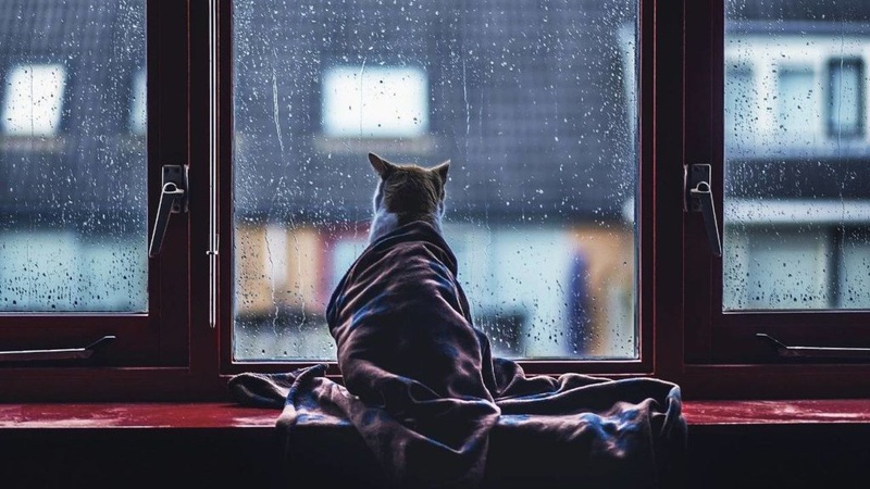 Хмарно, невеликі опади: прогноз погоди на 21 лютого