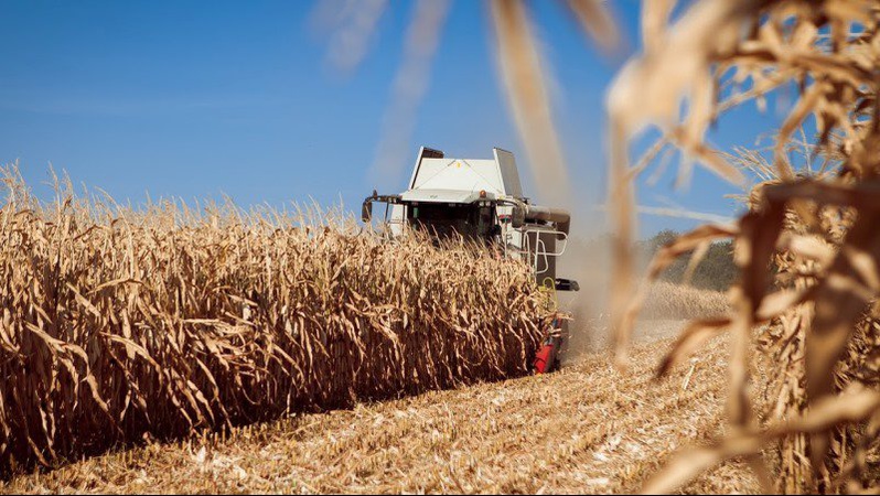 На Волині аграрії завершують збір урожаю