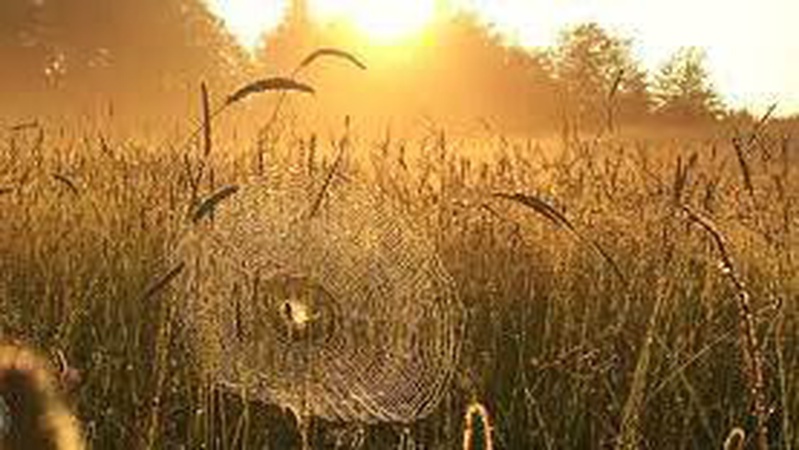 Волинські синоптики розповіли, коли чекати «бабине літо» та тепло