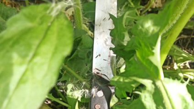 За вбивство рідного брата волинянин сяде за ґрати