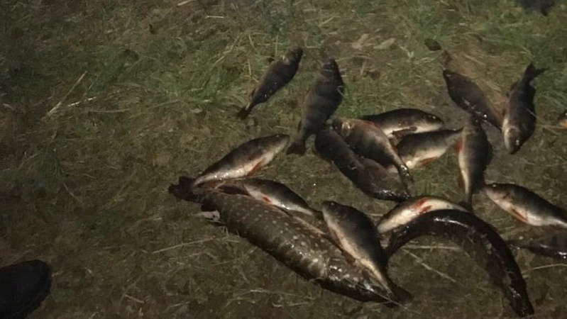 На Волині чоловік здав рибалок за «гарячим ділом»