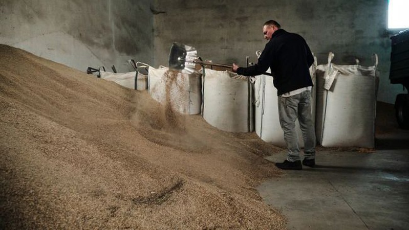 В Україні аграрії зможуть на рік отримати бронь від мобілізації