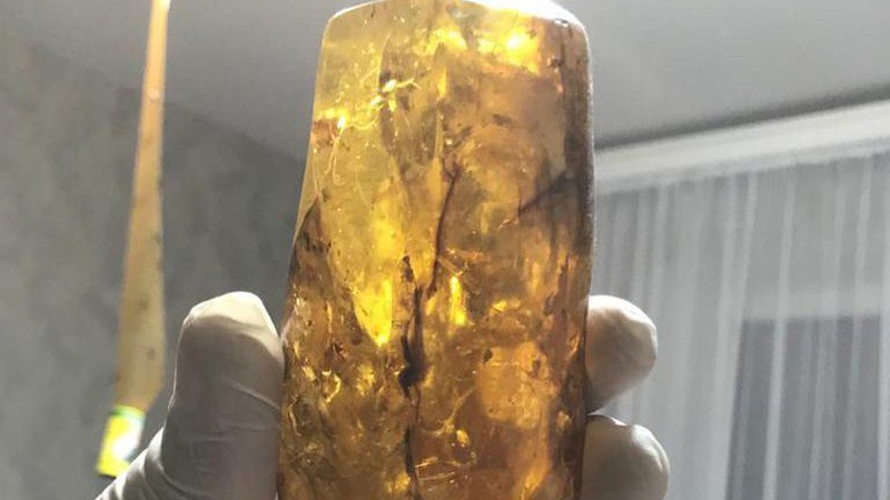 На Волині судитимуть злочинну групу, яка облаштувала цех з переробки бурштину