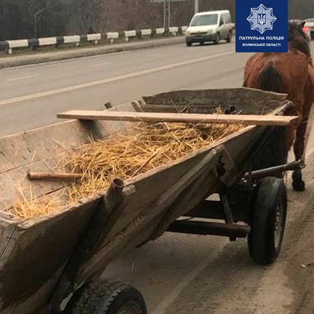 Луцьком на підводі роз’їжджав п’яний волинянин
