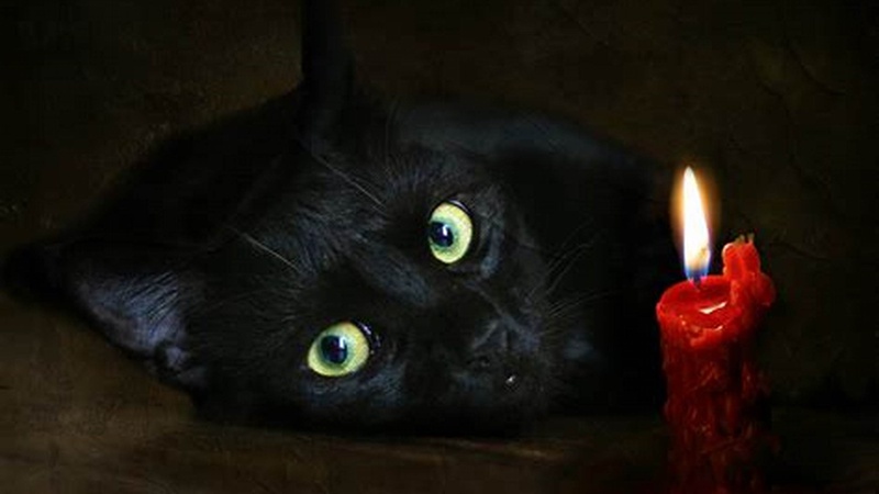 «Укренерго» анонсувало графіки відключення світла на 10 червня