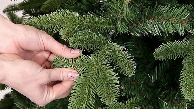 Обережно – свято!