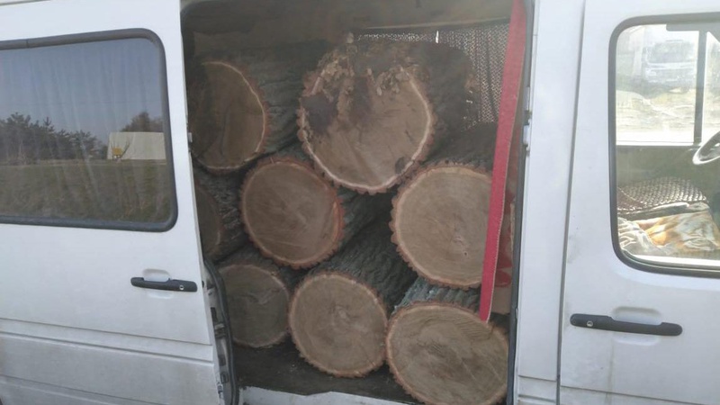 Затримали бус, в салоні якого перевозили 10 колод дуба: лучанин хотів відкупитися