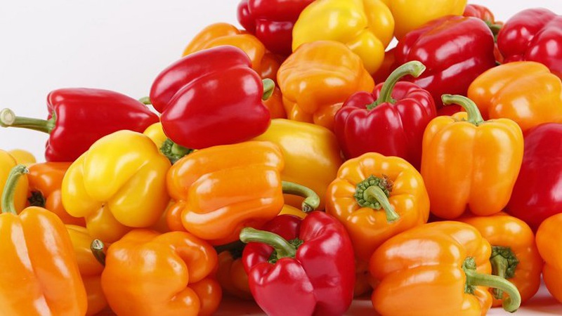 Фермери з Рожища відмовилися від вирощування перцю