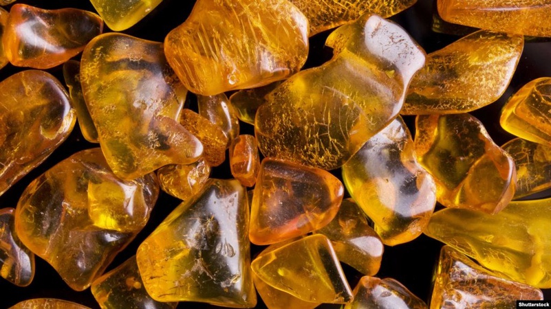 На Волині у дохід держави передали бурштину на мільйон гривень