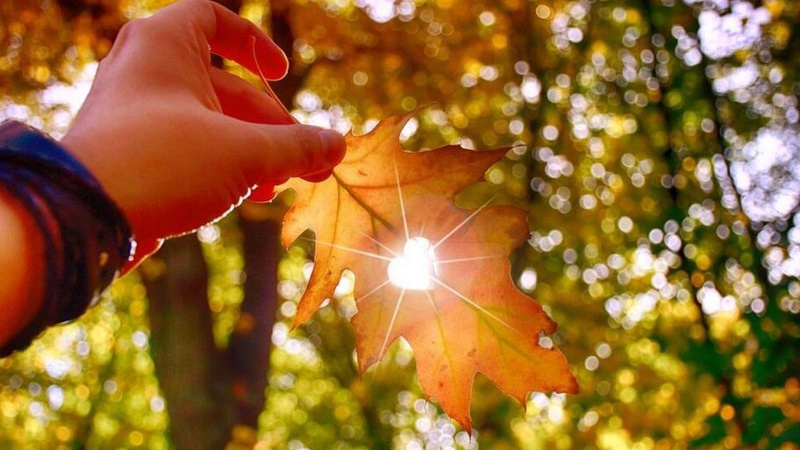 Яка погода очікується завтра, 15 вересня