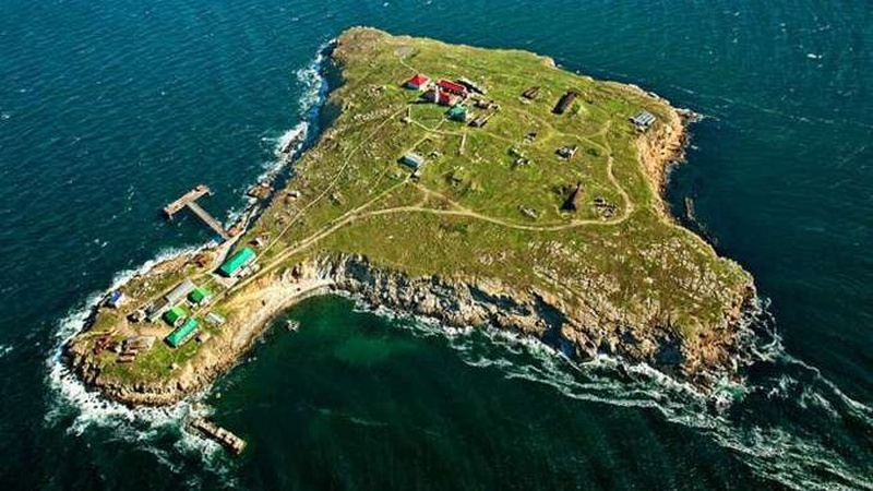 Роспропаганда використовує полонених захисників острова Зміїних для налепницьких заяв