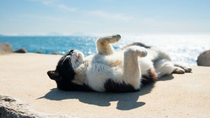 Сьогодні Україну накриє літнім теплом до +28°