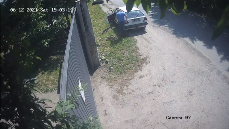 Шукають чоловіка, який розкидає по Луцьку цуценят