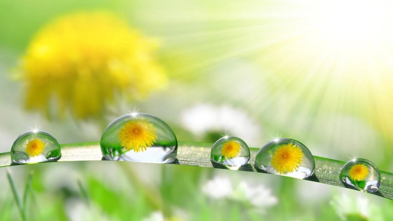 Синоптик про погоду на вихідні: тепло наближається, дощі вперто залишаються