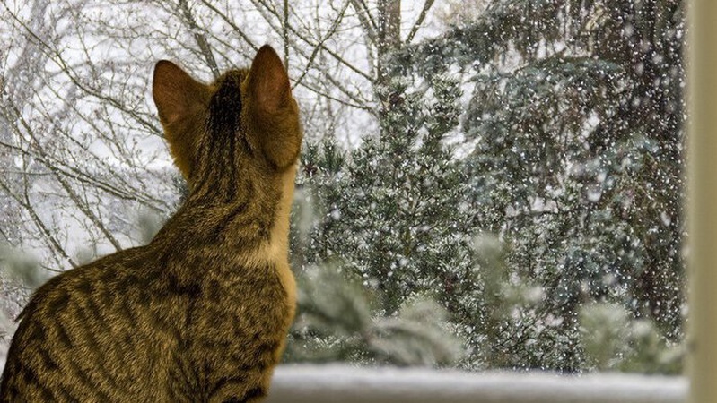 Морози поступово слабшають: прогноз погоди на вихідні