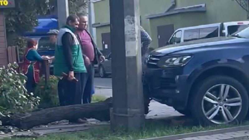 Водій, який врізався у дерево у Луцьку, виявився високопосадовцем: зафіксували момент зіткнення