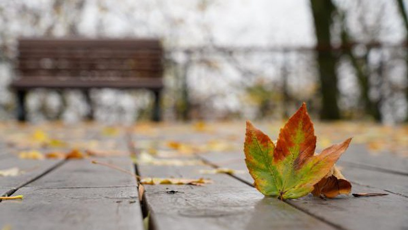 Невелика хмарність та туман: прогноз погоди на 14 жовтня