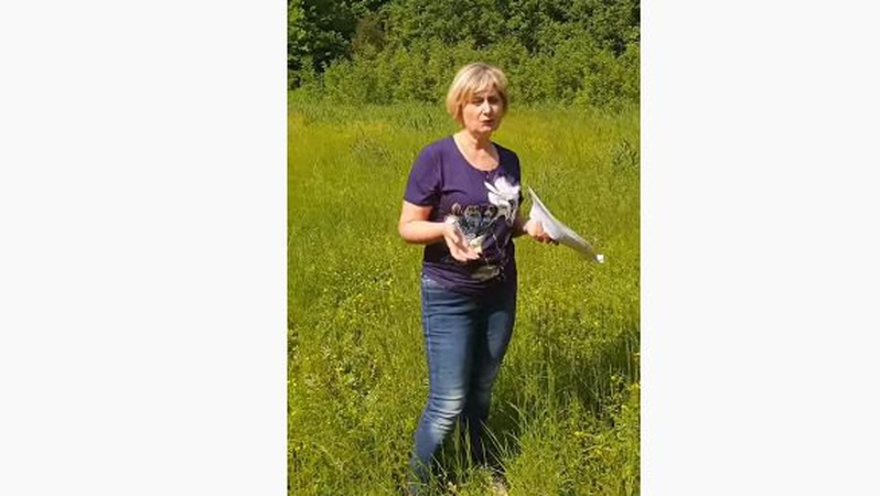 На Волині є урочище, де не ростуть дерева і відбуваються аномальні явища