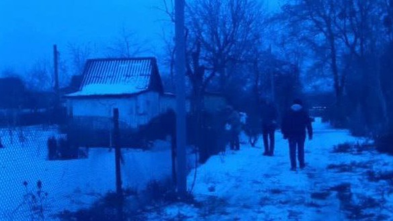 Зрізала дерево та пошкодила дроти електромереж: муніципальні інспектори покарали лучанку