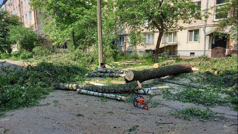 У Луцьку на Наливайка зрізають дерева, щоб облаштували парковку