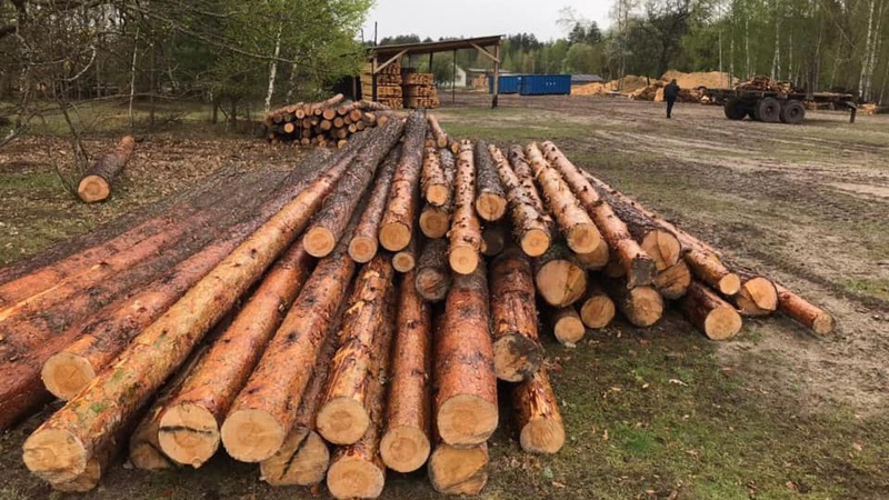 На пилорамі в селі на Волині – обшуки: вилучили деревину. ФОТО