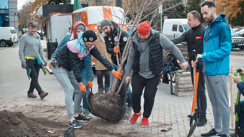 Поки в Луцьку тішаться новим сортом дерев під проводом Ігора, в Рівному масово висаджують і хочуть ще